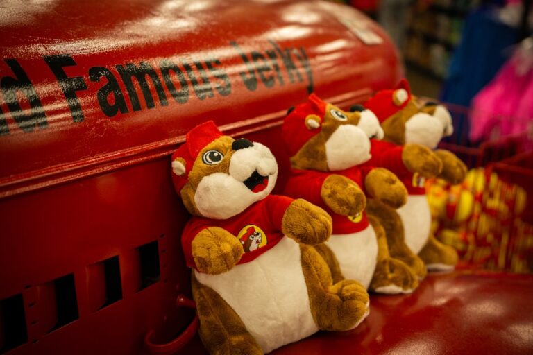 Wandertrip Products That Elevate Your Traveling Comfort